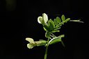 BUITEN BEELD Foto: 255347
