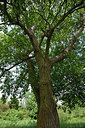 BUITEN BEELD Foto: 255374
