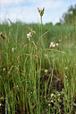BUITEN BEELD Foto: 255397