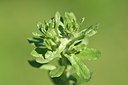 BUITEN BEELD Foto: 255414