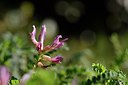 BUITEN BEELD Foto: 255428