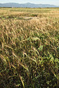 BUITEN BEELD Foto: 255563