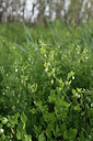 BUITEN BEELD Foto: 255568