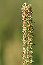 BUITEN BEELD Foto: 255646
