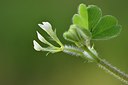 BUITEN BEELD Foto: 255769