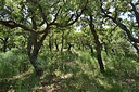 BUITEN BEELD Foto: 255796