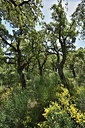 BUITEN BEELD Foto: 255797