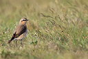 BUITEN BEELD Foto: 255844