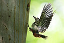 BUITEN BEELD Foto: 255892