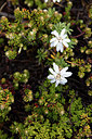 BUITEN BEELD Foto: 255940
