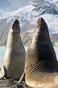 BUITEN BEELD Foto: 256013