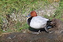 BUITEN BEELD Foto: 256083