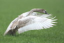 BUITEN BEELD Foto: 256104