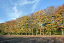 BUITEN BEELD Foto: 256111