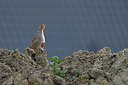 BUITEN BEELD Foto: 256122
