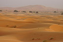 BUITEN BEELD Foto: 256178