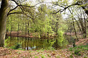 BUITEN BEELD Foto: 256233