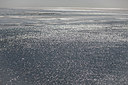 BUITEN BEELD Foto: 256283