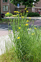 BUITEN BEELD Foto: 256324
