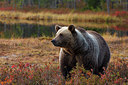BUITEN BEELD Foto: 256396