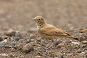 BUITEN BEELD Foto: 256578