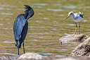 BUITEN BEELD Foto: 256587