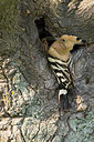 BUITEN BEELD Foto: 256652