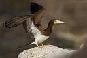 BUITEN BEELD Foto: 256665