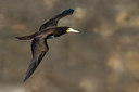 BUITEN BEELD Foto: 256695