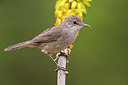 BUITEN BEELD Foto: 256724