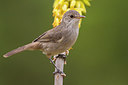 BUITEN BEELD Foto: 256727
