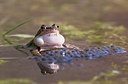 BUITEN BEELD Foto: 256729
