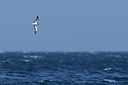 BUITEN BEELD Foto: 256744