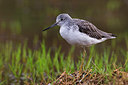 BUITEN BEELD Foto: 256767