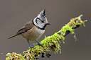 BUITEN BEELD Foto: 256814