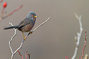 BUITEN BEELD Foto: 256819