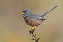BUITEN BEELD Foto: 256824
