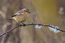 BUITEN BEELD Foto: 256868