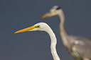 BUITEN BEELD Foto: 256891