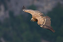 BUITEN BEELD Foto: 256907