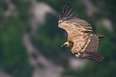 BUITEN BEELD Foto: 256908