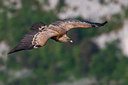 BUITEN BEELD Foto: 256918