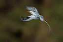 BUITEN BEELD Foto: 257110