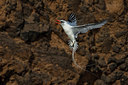 BUITEN BEELD Foto: 257113