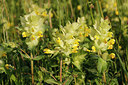 BUITEN BEELD Foto: 257317