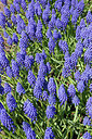 BUITEN BEELD Foto: 257332
