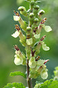 BUITEN BEELD Foto: 257400
