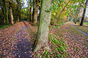 BUITEN BEELD Foto: 257553