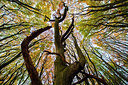 BUITEN BEELD Foto: 257579