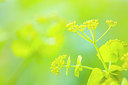 BUITEN BEELD Foto: 257683